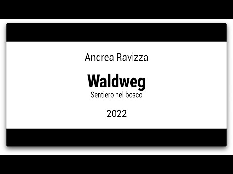 Andrea Ravizza - Waldweg (sentiero nel bosco)